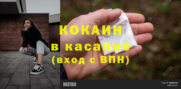 тгк Няндома