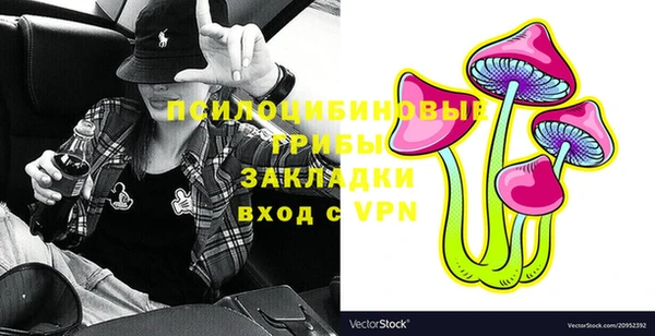 тгк Няндома