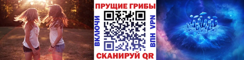 Галлюциногенные грибы мицелий Россошь